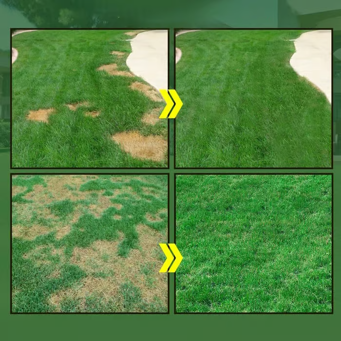 🔥🌱Hydro Seeding Lawn Slution-1